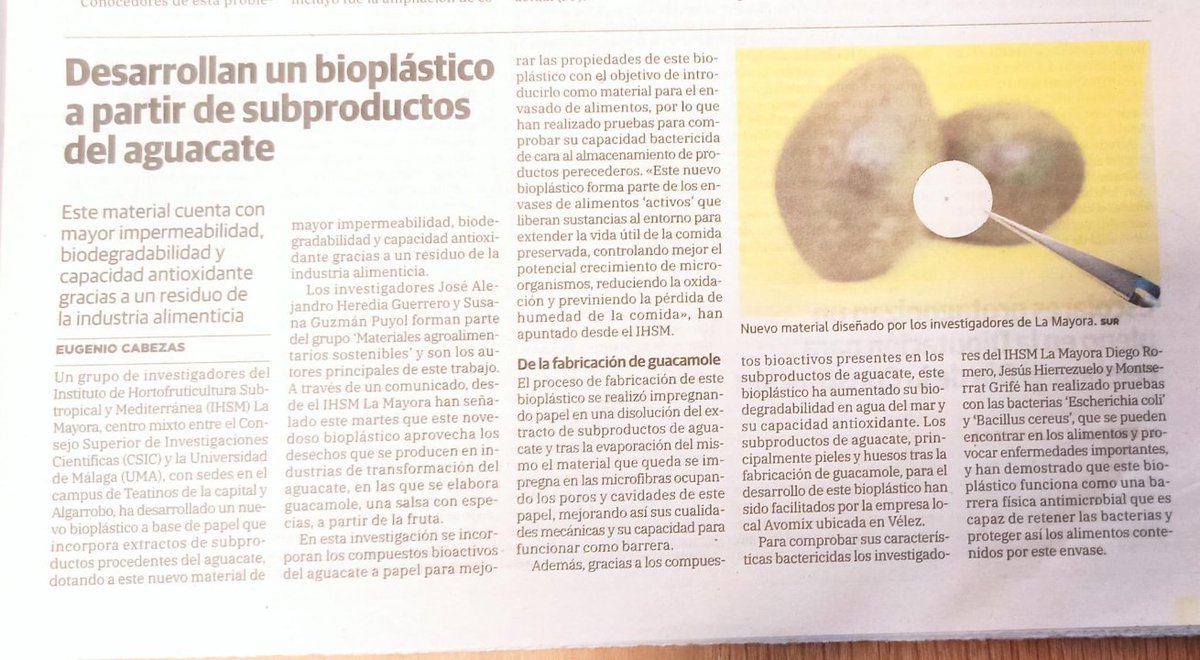 Alejandro Heredia (@ja_herediag) on Twitter photo Hoy en <a href="/DiarioSUR/">SUR. El periódico de Málaga</a> se hacen eco de nuestro trabajo sobre bioplásticos con residuos de la producción de guacamole.
🥑🧪🗞 Hoy en <a href="/DiarioSUR/">SUR. El periódico de Málaga</a> se hacen eco de nuestro trabajo sobre bioplásticos con residuos de la producción de guacamole.
🥑🧪🗞