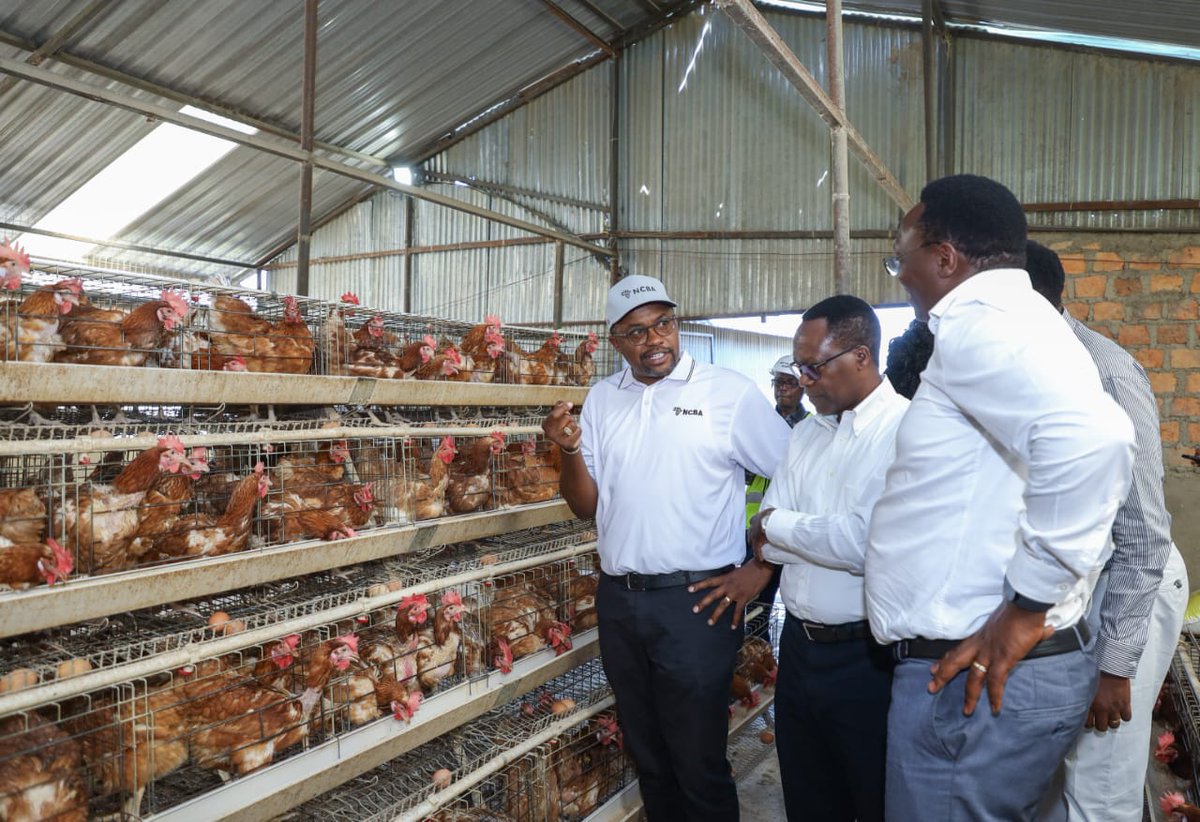 NCBABankKenya's tweet photo. @KipchimchimG is also the proud home of Kipchimchim Farm, supplying farm-fresh eggs, wholesome cow meat, and pure milk to their chain of Kipchimatt Supermarkets." 
#Goforit https://t.co/sClHl16SeK