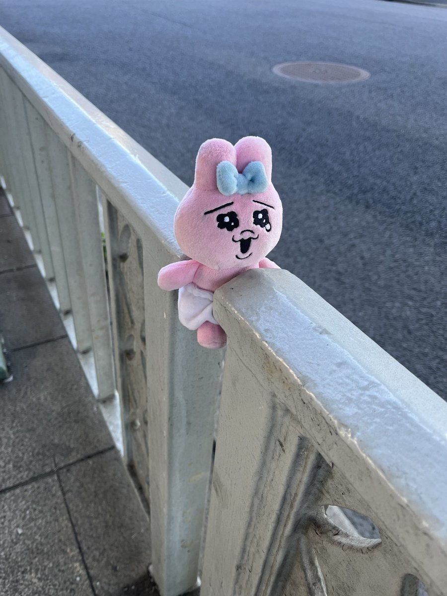 ktn9_t's tweet photo. (34)迷子おぱんちゅうさぎ

🔻発見状態🔻 
挟まって泣いている状態。

🔻種類🔻
むにゅぐるみマスコット(お店産)

 飼い主さんに見つかりまちゅように🙏

引用元↓
wonatsun 

#迷子おぱんちゅうさぎ
#おぱんちゅうさぎ https://t.co/b7hn9whDHF