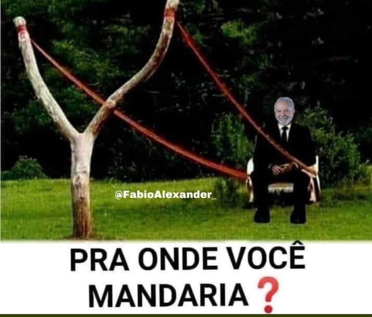 Paty Fantinati ☀️🇧🇷 tweet media