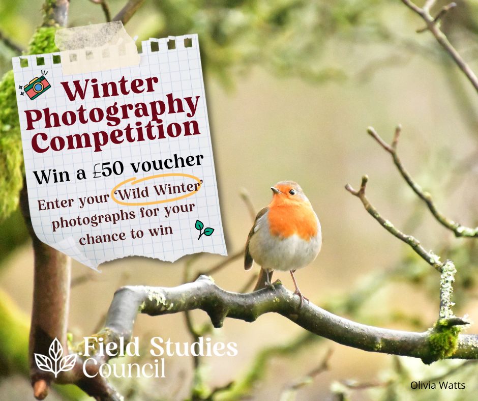 FSCBiodiversity's tweet image. Have you heard about our Winter Photography Competition?📸
We are giving you the chance to win a £50 voucher, which can be used towards one of our courses* ✨

The theme this year is 'Wild Winter' and will be judged by our #YouthCouncil.

👉How to enter: ow.ly/KxbG50QfQO9
