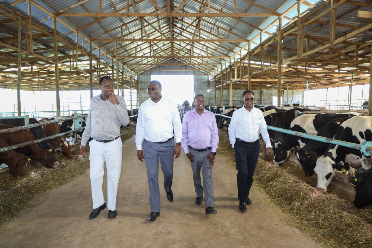 NCBABankKenya's tweet photo. @KipchimchimG is also the proud home of Kipchimchim Farm, supplying farm-fresh eggs, wholesome cow meat, and pure milk to their chain of Kipchimatt Supermarkets." 
#Goforit https://t.co/sClHl16SeK