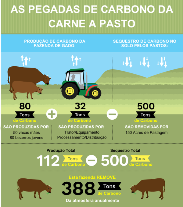 Balance de carbono para la ganadería, según la brasileña GTEPS. Si no la entienden con el dibujito, hay que pensar en una cuestión de mala fe...