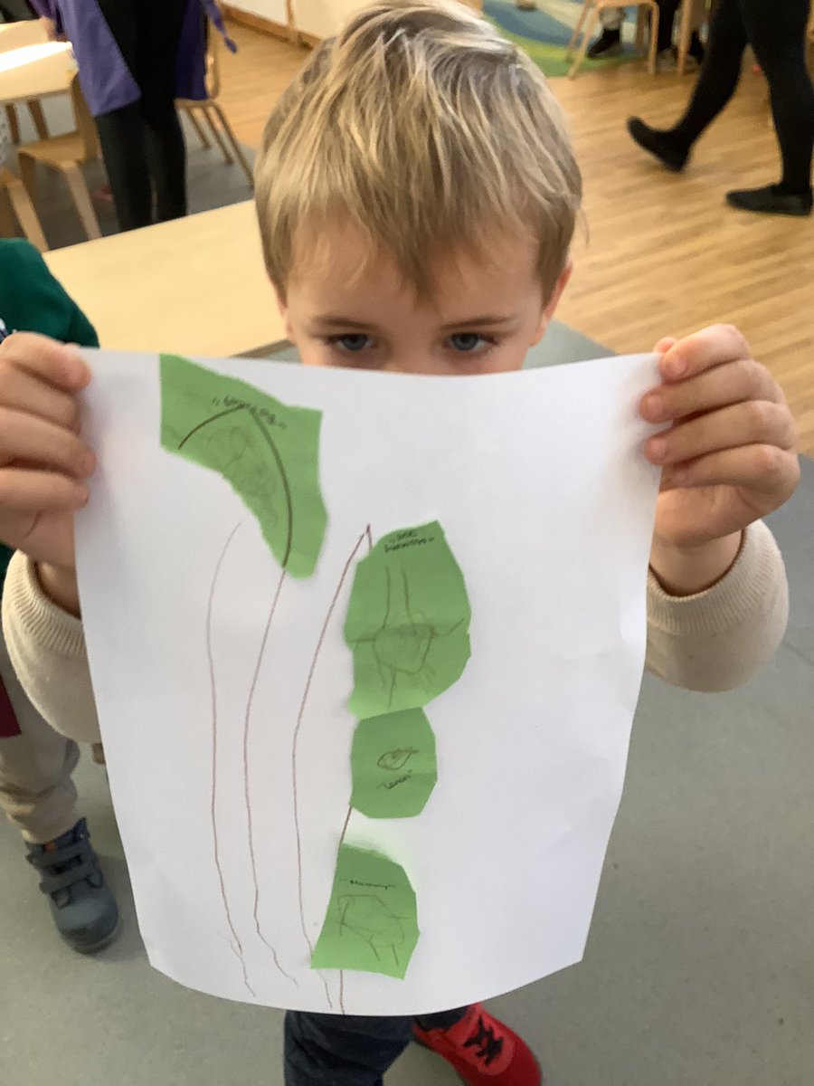 RobsackN's tweet photo. Exploring diversity in our class! 🌈 Children creating their own family trees, celebrating uniqueness. 🏡 Exciting conversations like 'I have two mummies' and 'Some children have two daddies or one mummy and one daddy’ foster understanding and inclusivity. 🤗❤️ @R_S_Wood https://t.co/sdQI3ELqVM