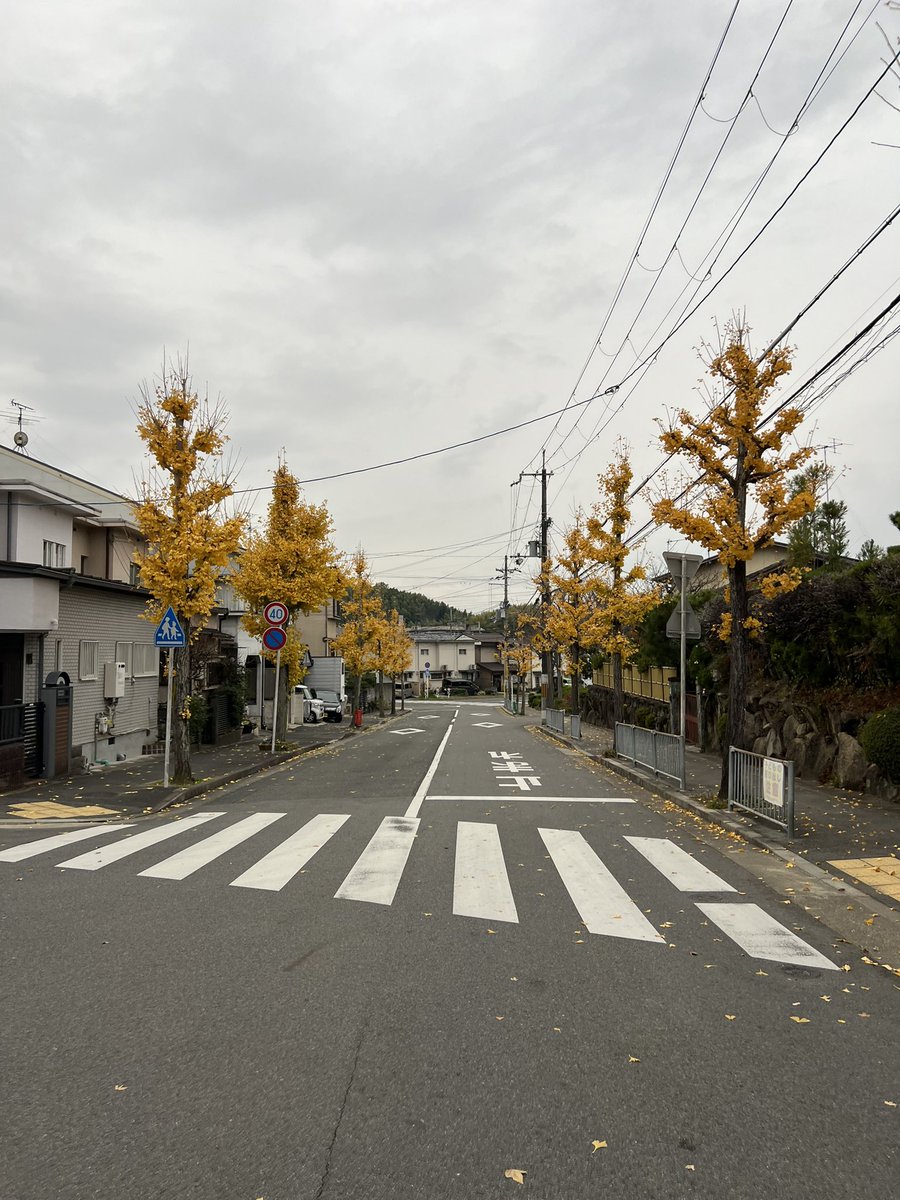 aruariandepart's tweet image. hurrying down the road to catch my bus