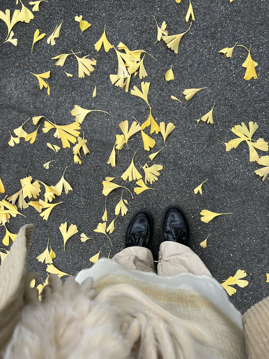 aruariandepart's tweet image. hurrying down the road to catch my bus