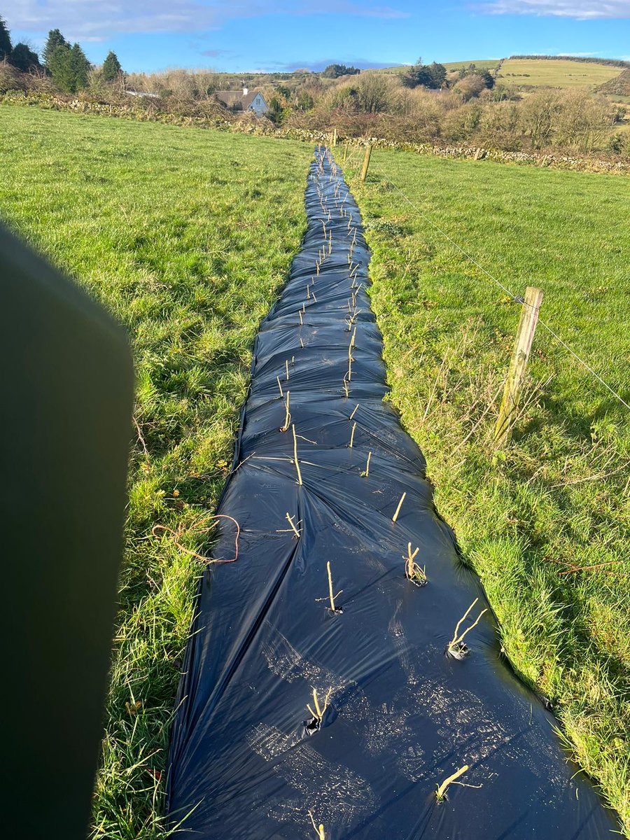 DuhallowBlueDot tweet media