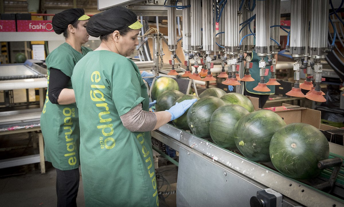 📽 El Instituto Andaluz de Prevención de Riesgos Laborales #IAPRL publica una serie de vídeos con instrucciones técnico preventivas para el uso de maquinaria agrícola y medidas de prevención y protección antes, durante y después de su uso.

ℹ👉  lajunta.es/4h3gq