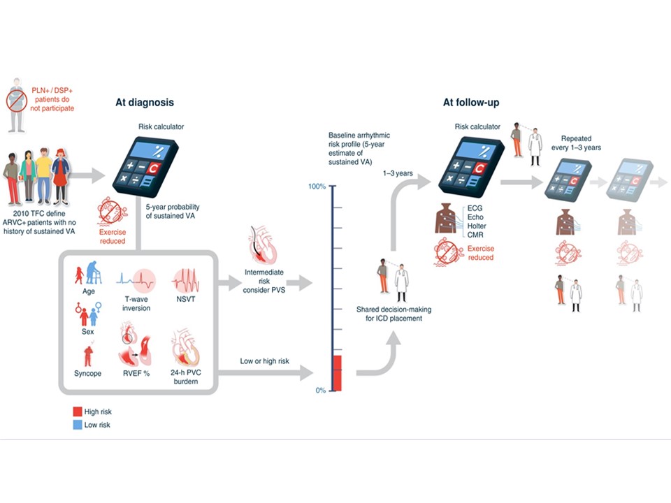 European Society of Cardiology Journals (@esc_journals) on Twitter photo Arrhythmic risk stratification in arrhythmogenic right ventricular cardiomyopathy 👉academic.oup.com/europace/artic…
<a href="/EuropaceEiC/">Europace Editor-in-Chief</a> <a href="/GiulioConte9/">Giulio Conte</a> <a href="/Dominik_Linz/">Dominik Linz</a> <a href="/FraSantoroMD/">Francesco Santoro, MD, PhD</a> <a href="/AndyZhangMD/">Xiaodong Zhang (Andy), MD, PhD, FHRS, FACC</a> <a href="/marcovitoloMD/">Marco Vitolo Ⓜ️</a> <a href="/MBergonti/">Marco Bergonti</a> #Europace #ARVC #Cardiomyopathy #arrhythmias Arrhythmic risk stratification in arrhythmogenic right ventricular cardiomyopathy 👉academic.oup.com/europace/artic…
<a href="/EuropaceEiC/">Europace Editor-in-Chief</a> <a href="/GiulioConte9/">Giulio Conte</a> <a href="/Dominik_Linz/">Dominik Linz</a> <a href="/FraSantoroMD/">Francesco Santoro, MD, PhD</a> <a href="/AndyZhangMD/">Xiaodong Zhang (Andy), MD, PhD, FHRS, FACC</a> <a href="/marcovitoloMD/">Marco Vitolo Ⓜ️</a> <a href="/MBergonti/">Marco Bergonti</a> #Europace #ARVC #Cardiomyopathy #arrhythmias