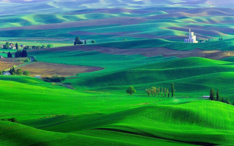 LeindroShoy's tweet photo. green steppe... https://t.co/KL9cqDowaW