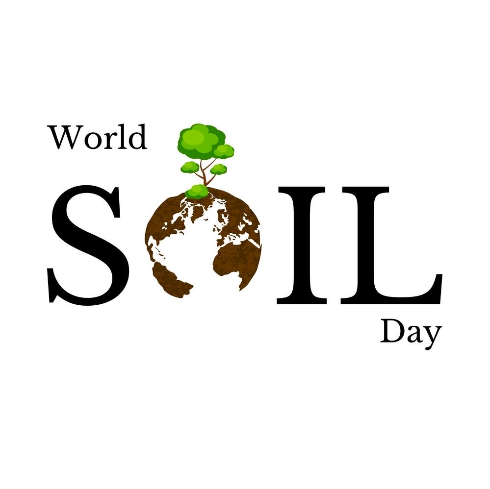 SadcoOrg's tweet photo. Happy World Soil Day 🌎 🌱 

This year’s theme is Soil and Water; a source of life. 

#worldsoilday2023
#soil
#water https://t.co/krFJpOyv4j