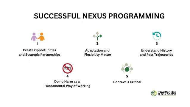 DeAnn's Keynote Continues:
"For DevWorks, Doing What Works Locally is the key to the #nexus, and to understanding the linkages across #humanitarian, development, &amp; #peacebuilding work. We believe that successful nexus programming must incorporate 5 key elements"
