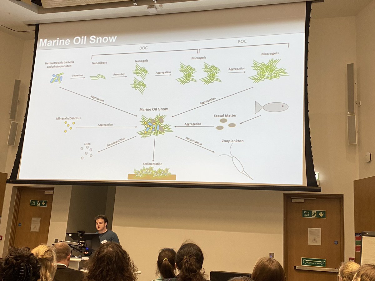 Marine oil snow dynamics: polymers, bacteria and oil in floccs- Jake Smallbone @Uni_of_Essex #MASTSASM23 @mastscot how light affects marine oil snow production, and lifetime.