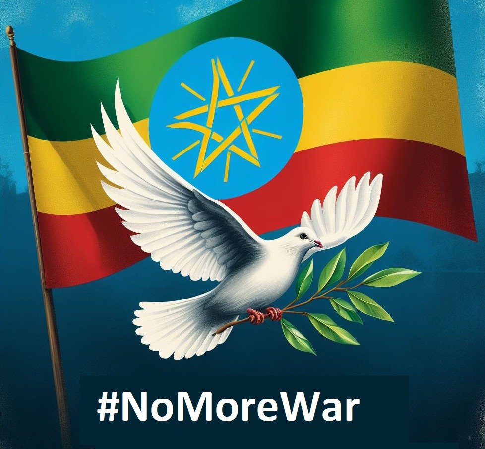The Ethiopian Government only promotes peace in Ethiopia through dialogue as the key strategy. #Ethiopia_prevails #HandOffEthiopia @USEmbassyAddis @UNHumanRights @UNOCHA @UN @UNDP @UNHCREthiopia @TiborPNagyJr @MikeHammerUSA