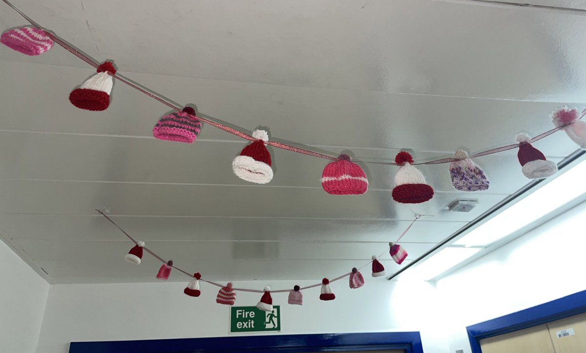 Festive Decor @RoyalFreeNHS creating lots of smiles as our patients arrive today 🍄Thanks to Margaret @RoyalFreeChty for the wee pointy hats & to my friend for the 50 shades of pink hats! 🍄Ribbon=upcycled from my craft box 🍄Super sustainable-we’ll have it for years to come ♻️