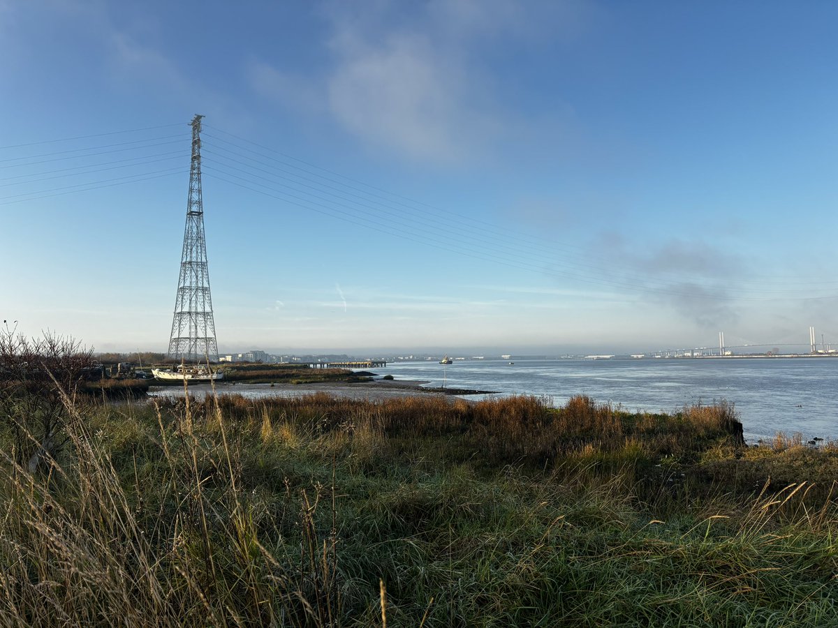 On a walk at Swanscombe marshes @sspcampaign whilst waiting for car to be serviced , 43 species, including Lesser Redpoll, Turnstones, Common Sand, Fieldfares, Redwings, and the less welcome Gyppo Goose🤮