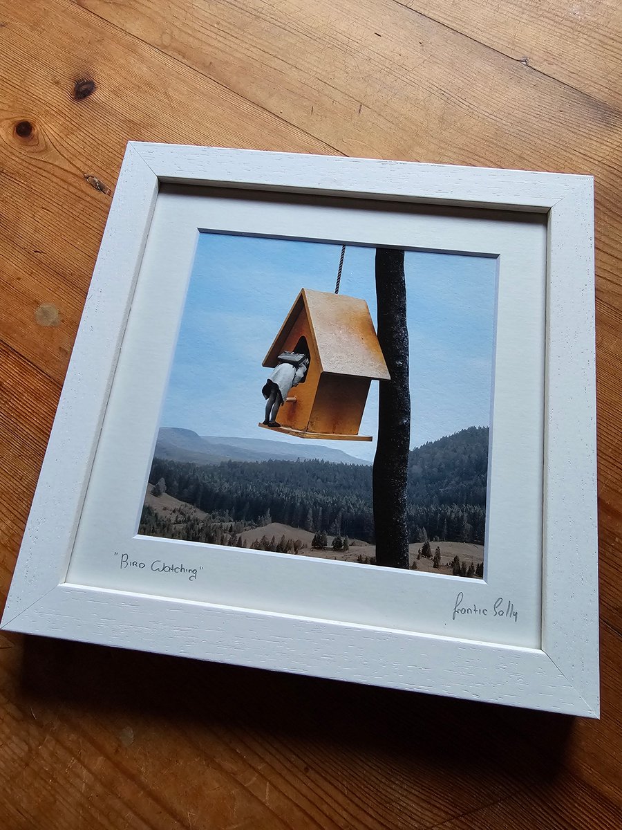 Annie West tweet media