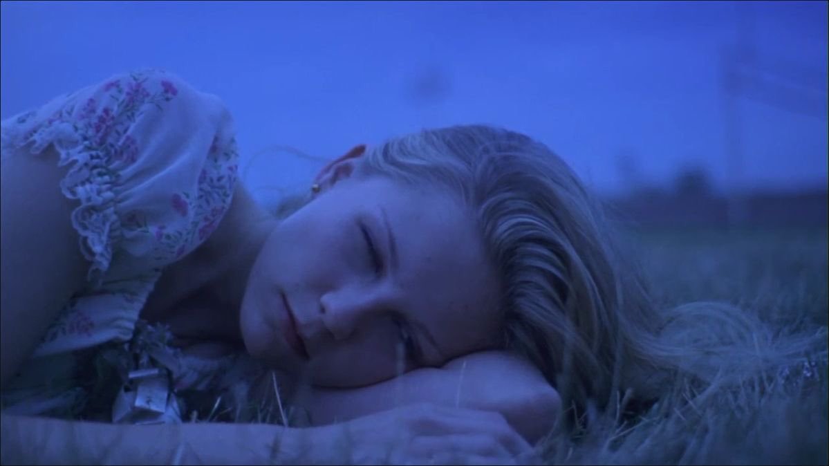 TheCinesthetic's tweet photo. The Virgin Suicides (1999) dir. Sofia Coppola https://t.co/iVdDkTDX82