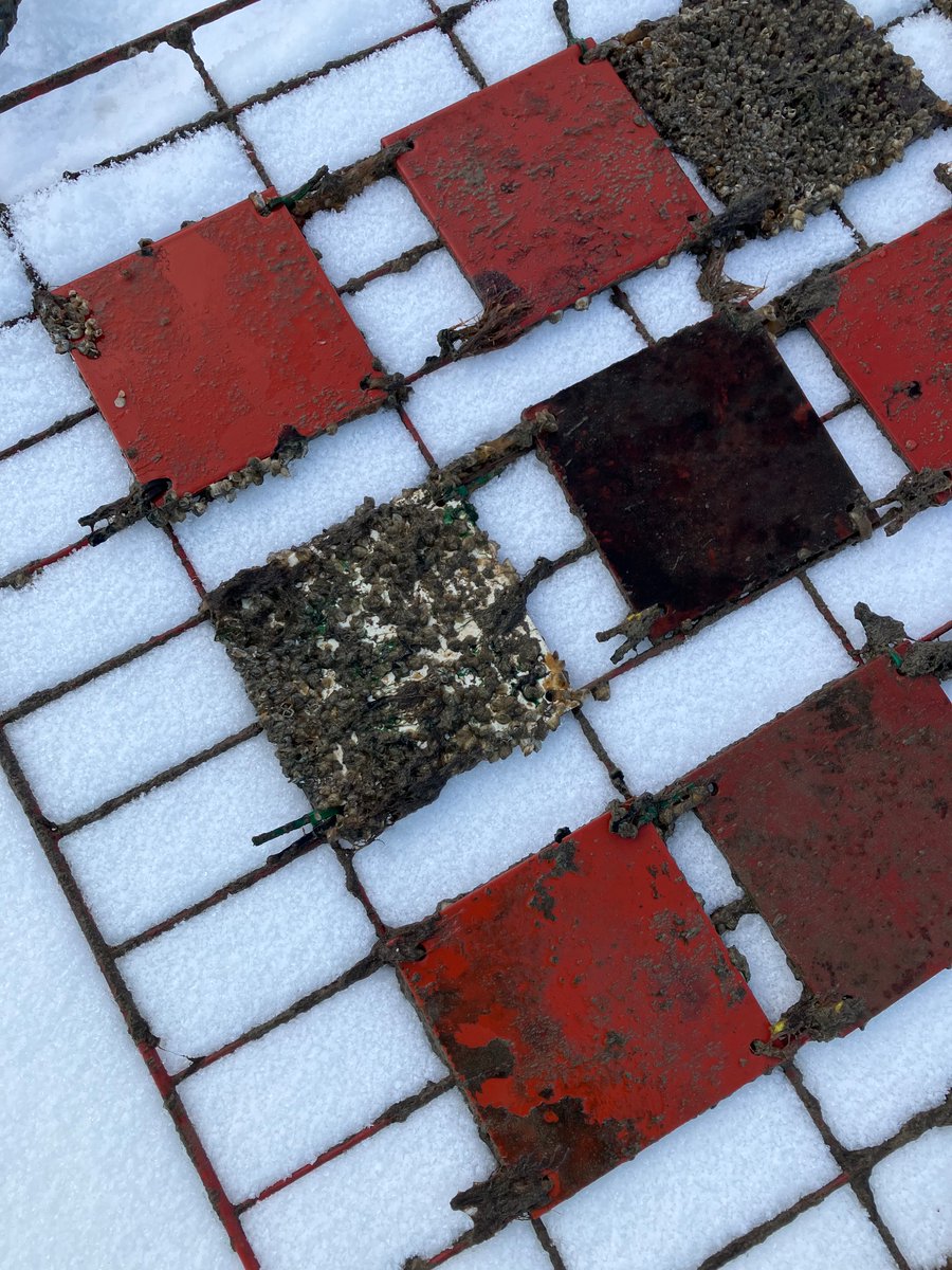 Lena Granhag tweet media