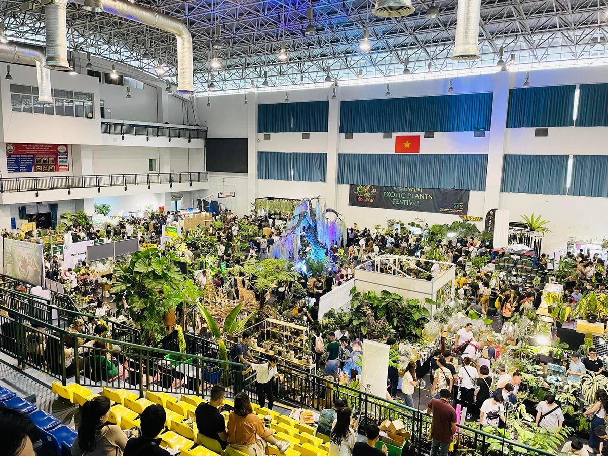 HuLo3456's tweet photo. Mê lá 2023 được tổ chức tại nhà thi đấu Hồ Xuân Hương,tp HCM.
Sự kiện được tổ chức 1 năm 1 lần quy mô khá lớn và hội tụ tất cả ae đam mê kiểng lá trong và ngoài nước vừa mua bán vừa trưng bày những tác phẩm siêu đỉnh! https://t.co/zuLZULq125