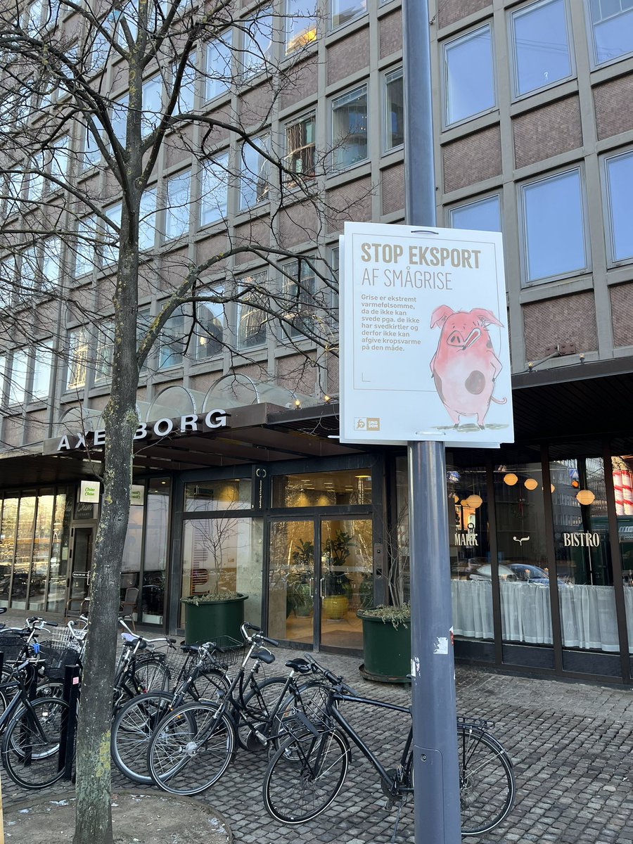 I NNF Ungdom har vi lanceret kampagnen “Stop eksport af smågrise”. Alt for mange smågrise bliver kørt ud af Danmark under kummerlige forhold. Det skal stoppe nu! #dkpol #dkfood #dyreveldfærd