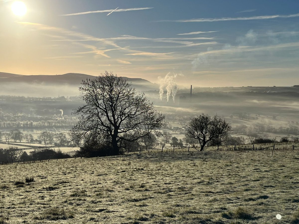 Hayley Lever tweet media