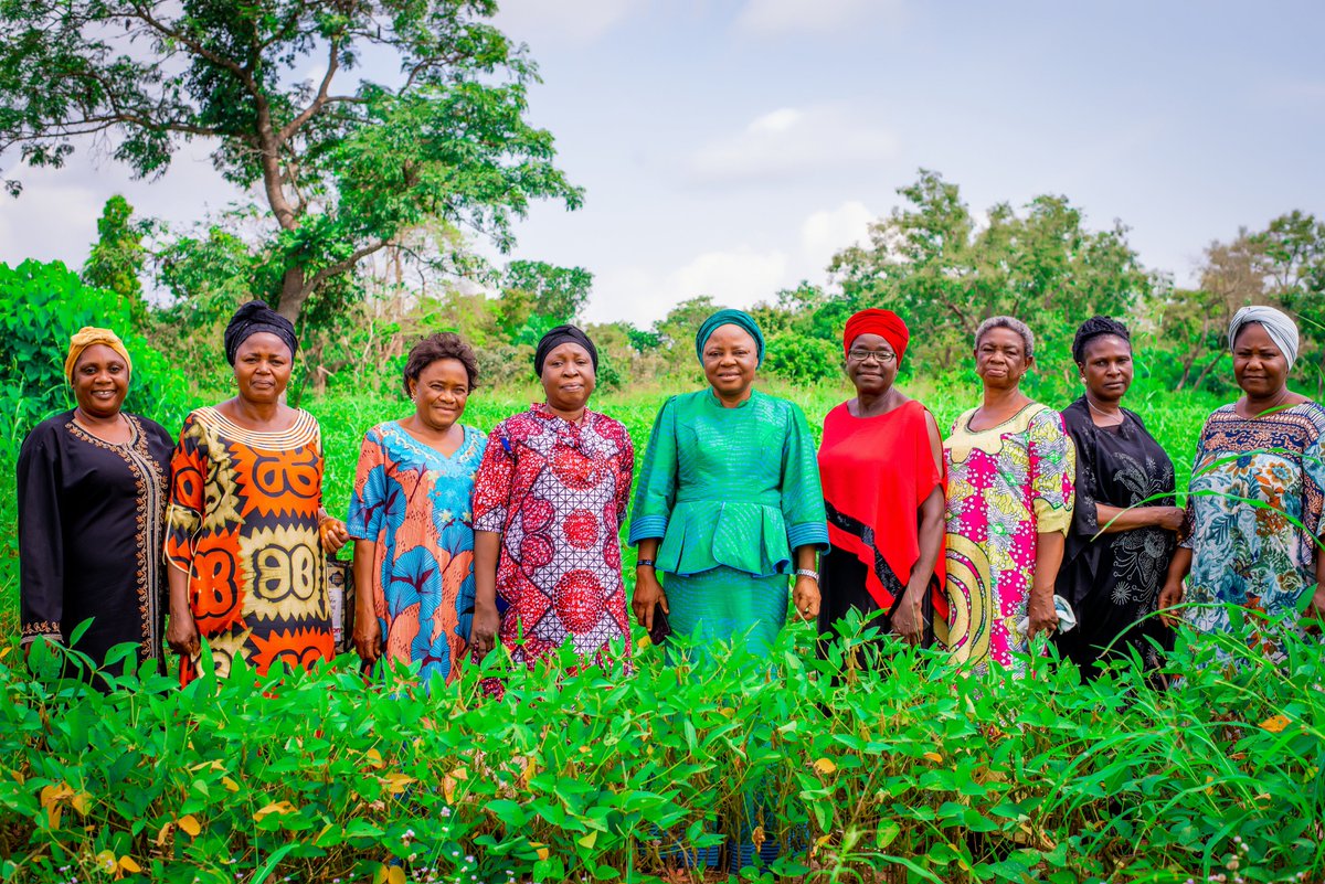 FtF Nigeria Agribusiness Investment Activity tweet media