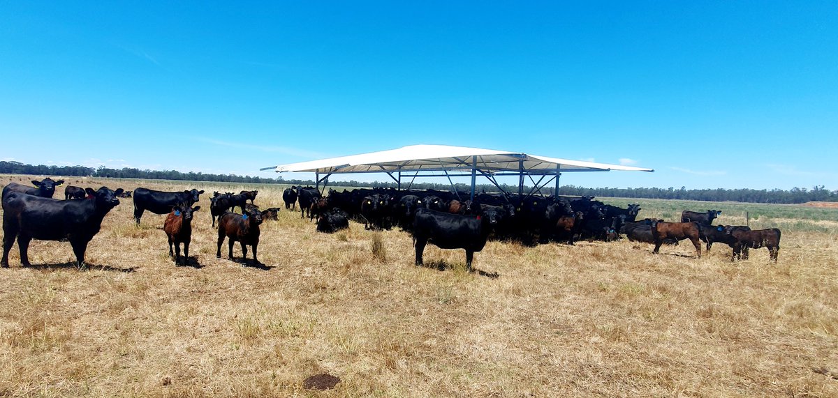 Michael Gooden tweet media