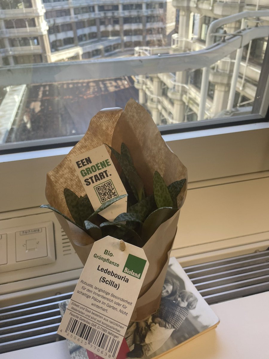 De groene start staat op de vensterbank! 💚🌳