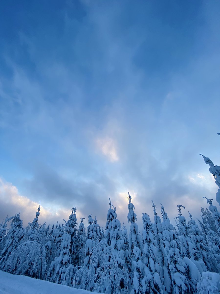 Hyvää itsenäisyyspäivää, sitä juhlapyhistä rakkainta. 💙 Ollaan erityisesti tänään iloisia ja kiitollisia siitä, että meillä on näin kaunis, vapaa ja turvallinen kotimaa. 🇫🇮