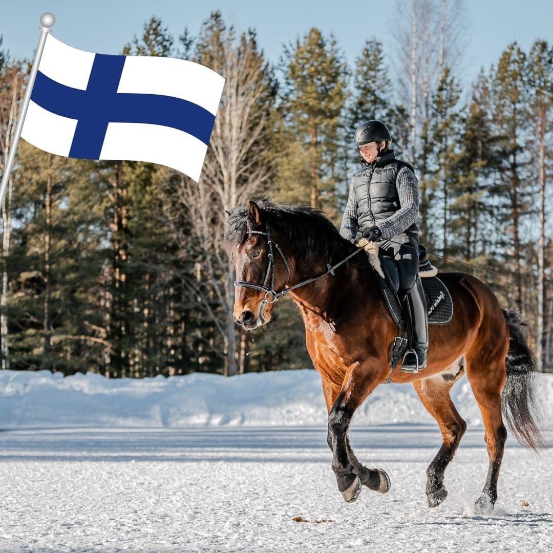 Hyvää itsenäisyyspäivää! 🇫🇮

📷 @jannikaphoto
