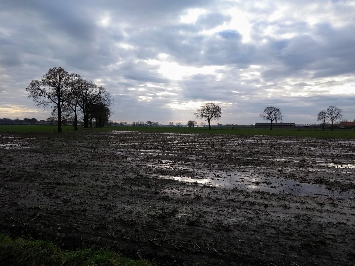 wimboermans's tweet photo. wim Boermans Malle 11.16 #vrtweer https://t.co/7pMjUc4NaI