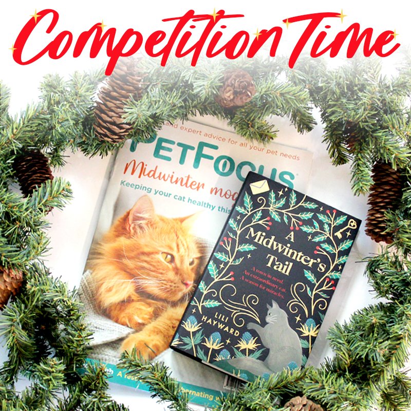 PetFocus (@petfocusonline) on Twitter photo 🎉COMPETITION TIME🎉
We are giving away a copy of A Midwinter's Tail by Lili Hayward (<a href="/lilihayward/">Lili Hayward</a>)!
This festive story, set in Cornwall, features an extraordinary cat who helps a busy Londoner unravel a generation of secrets...
The perfect read for a cold winter night! 🎉COMPETITION TIME🎉
We are giving away a copy of A Midwinter's Tail by Lili Hayward (<a href="/lilihayward/">Lili Hayward</a>)!
This festive story, set in Cornwall, features an extraordinary cat who helps a busy Londoner unravel a generation of secrets...
The perfect read for a cold winter night!