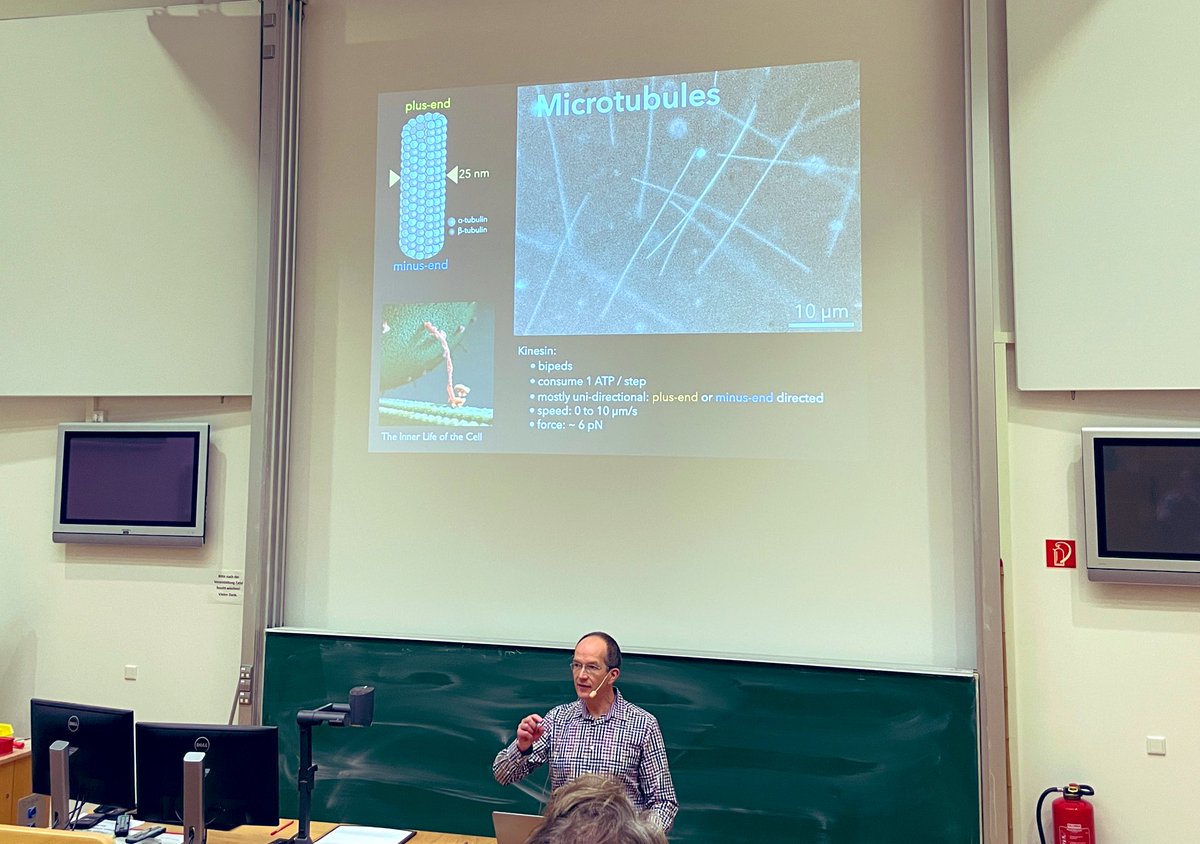 Amazing talk my amazing person, Francois Nedelec at our university. He introduced us to the incredible simulation software CYTOSIM. The whole phd group is amazed by this, we are very much pleased with this visit and enjoyed discussing with him about cytoskeleton simulation.