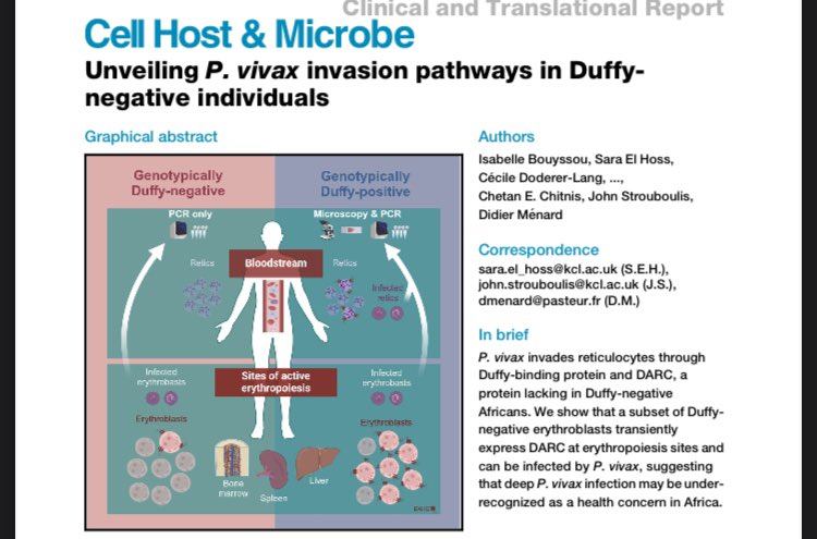 I am very happy to share with all of you my latest work published in @cellhostmicrobe unveiling P. Vivax invasion pathways in Duffy negative individuals cell.com/cell-host-micr… @KCLcancer_pharm @KCLredcell