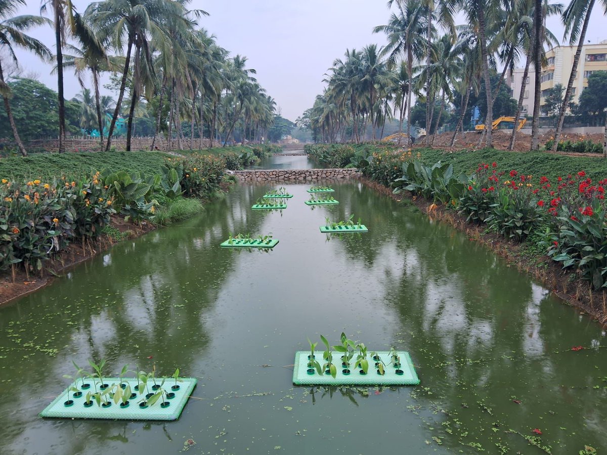 Transformation!!

Transforming the ordinary into the magical. Behold the mesmerizing beauty of Drain-10(near Nicco Park)

#BhubaneswarFirst