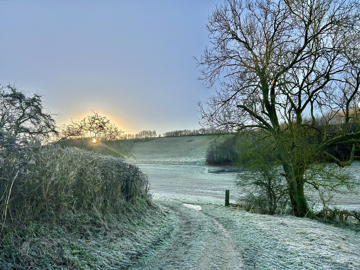 WeatherWolds's tweet photo. Just After Dawn. -3°C and a very icy start. A fox in the wood. https://t.co/7M7uahDm5g