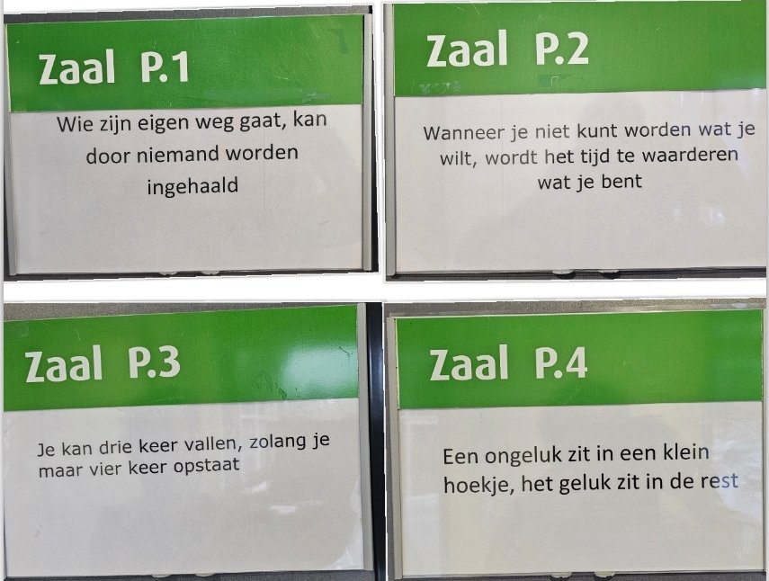 Behalve hele goede verzorging, zit de @EenhoornAfoort ook boordevol inspiratie 🤩