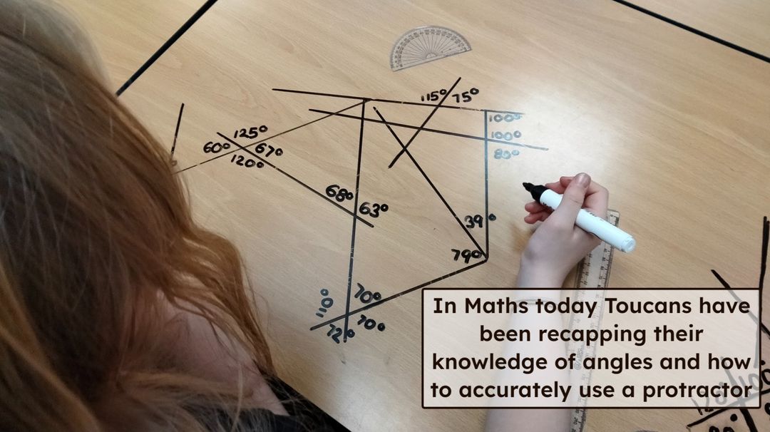 Reepham Primary School tweet media