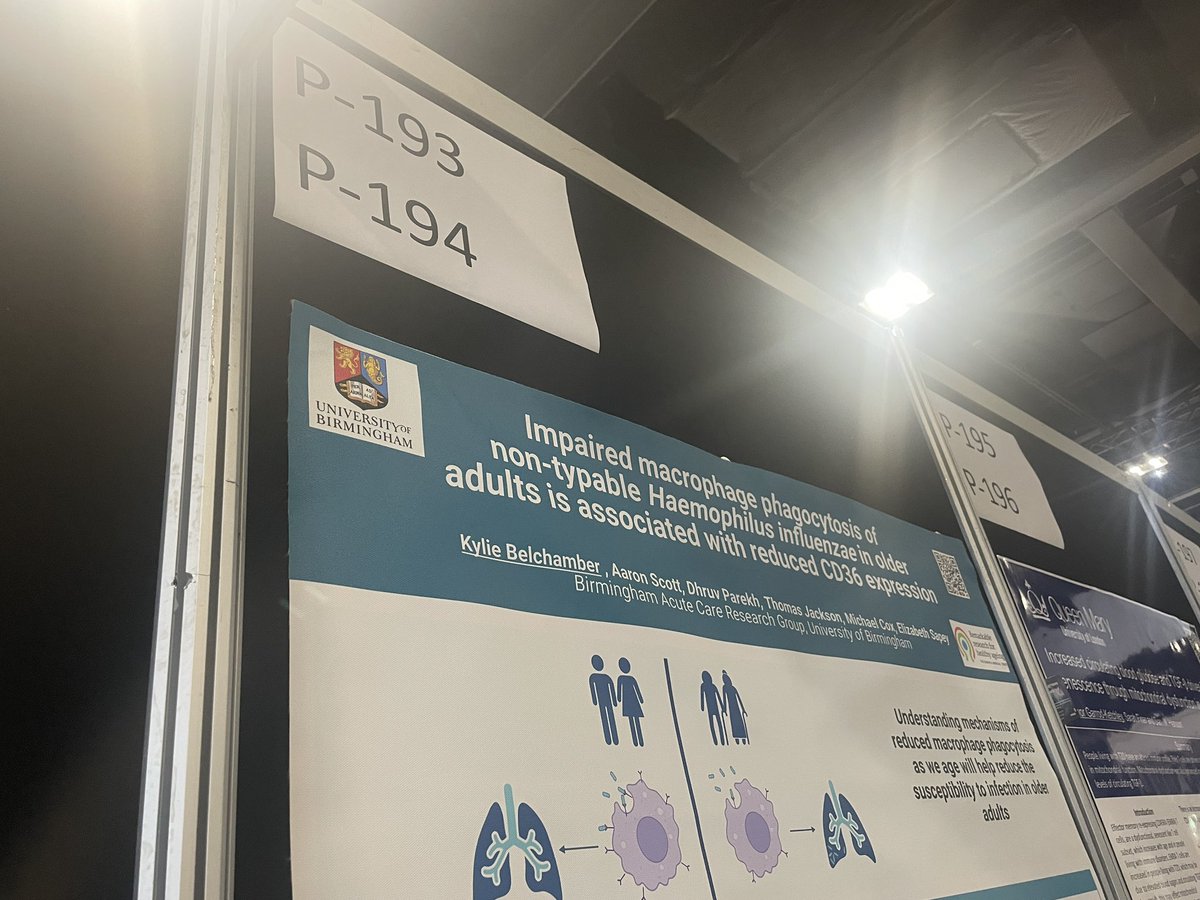 Today my @DunhillMedical Seed Award Poster is up! Poster 194 showing impaired phagocytosis in older adults associated with reduced CD36 expression. Come and chat macrophages to me (if your wearing the right badge that is…) #BSI23