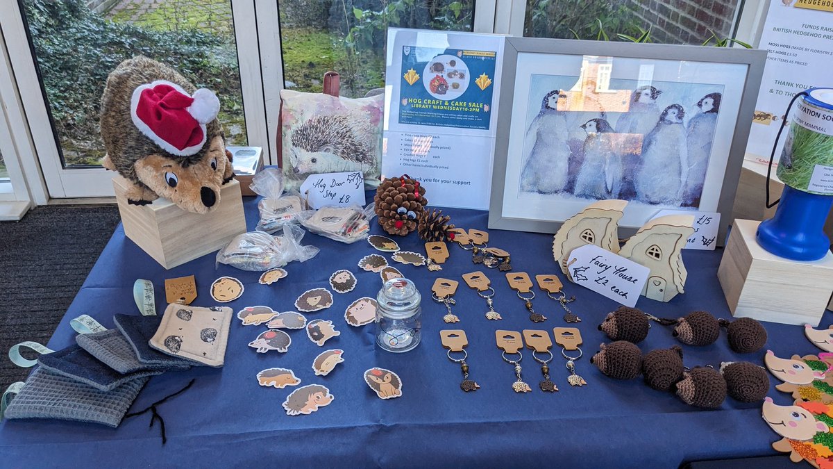 hogfriendlyaruw's tweet photo. We are all set up outside the library, including contactless payment 😉 come and see us 🦔 https://t.co/3vXsXHnzMG