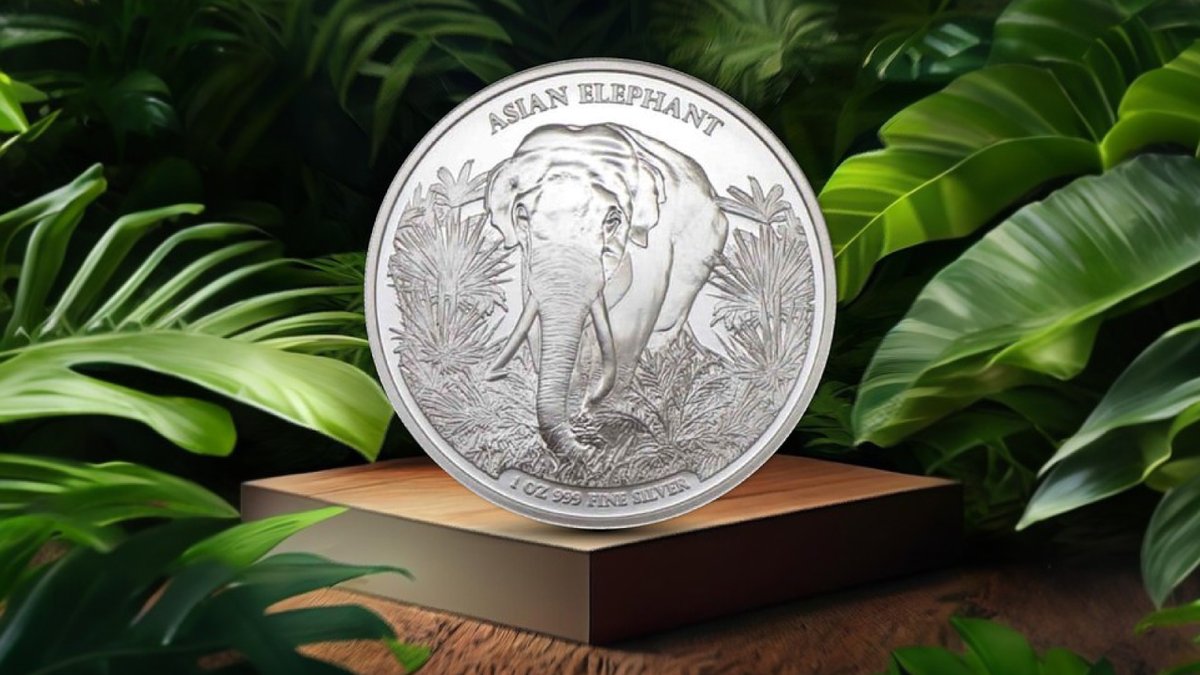 Bold_PM's tweet photo. Premier Issue: Celebrating Wildlife with the Asian Elephant - Asia Big Five Series.
#BOLDPreciousMetals #preciousmetals #Numismatics #trending #AsiaBigFiveElephant #LimitedEditionCoin #CambodiaSilver2023 #ElephantInSilver #AngkorWatOnCoin #999FineSilver #AsianElephantStory https://t.co/ND2ccuMf8e