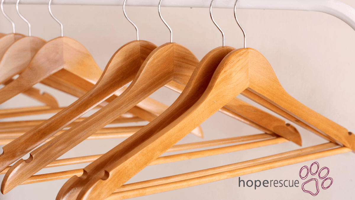 Our charity shops in Merthyr and Pontypridd need to restock, after a very busy week.

Can you help us by donating items you no longer use, need or wear? 

Visit our charity shops page to find out how:
hoperescue.org.uk/charity-shops 

Thank you 🐾

#CharityShop #Preloved