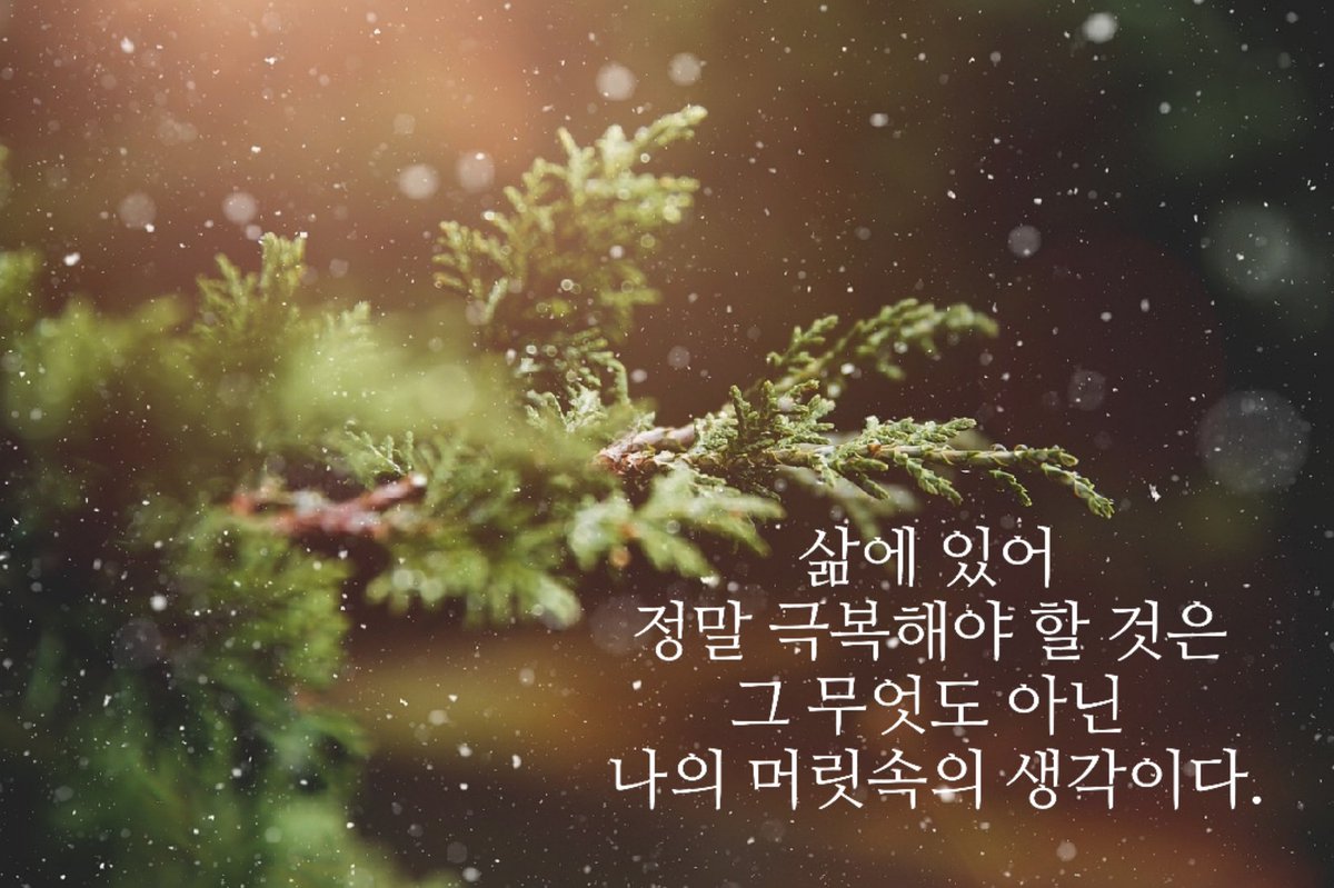 Kma0418's tweet photo. https://t.co/oLyd772mQ1
