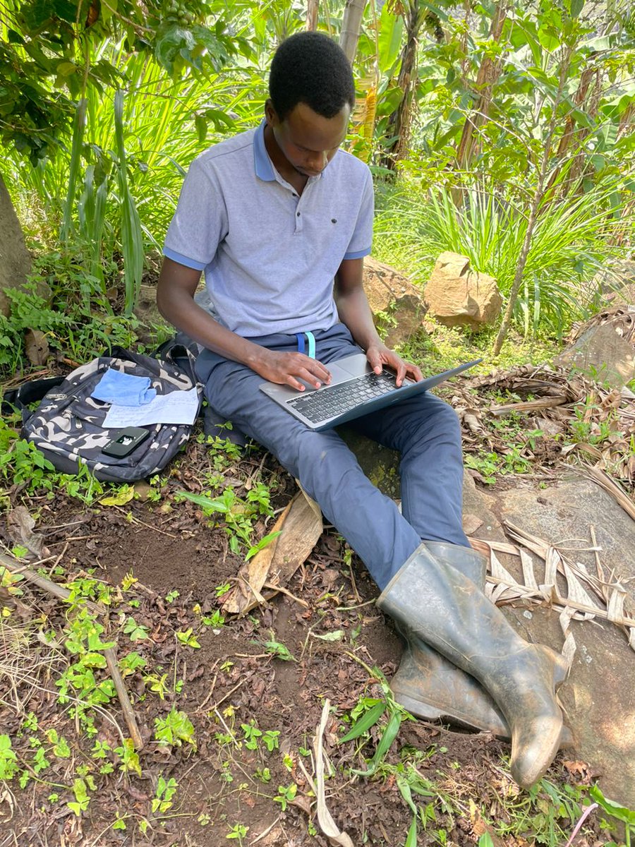 Online Learning | The University of Edinburgh tweet media