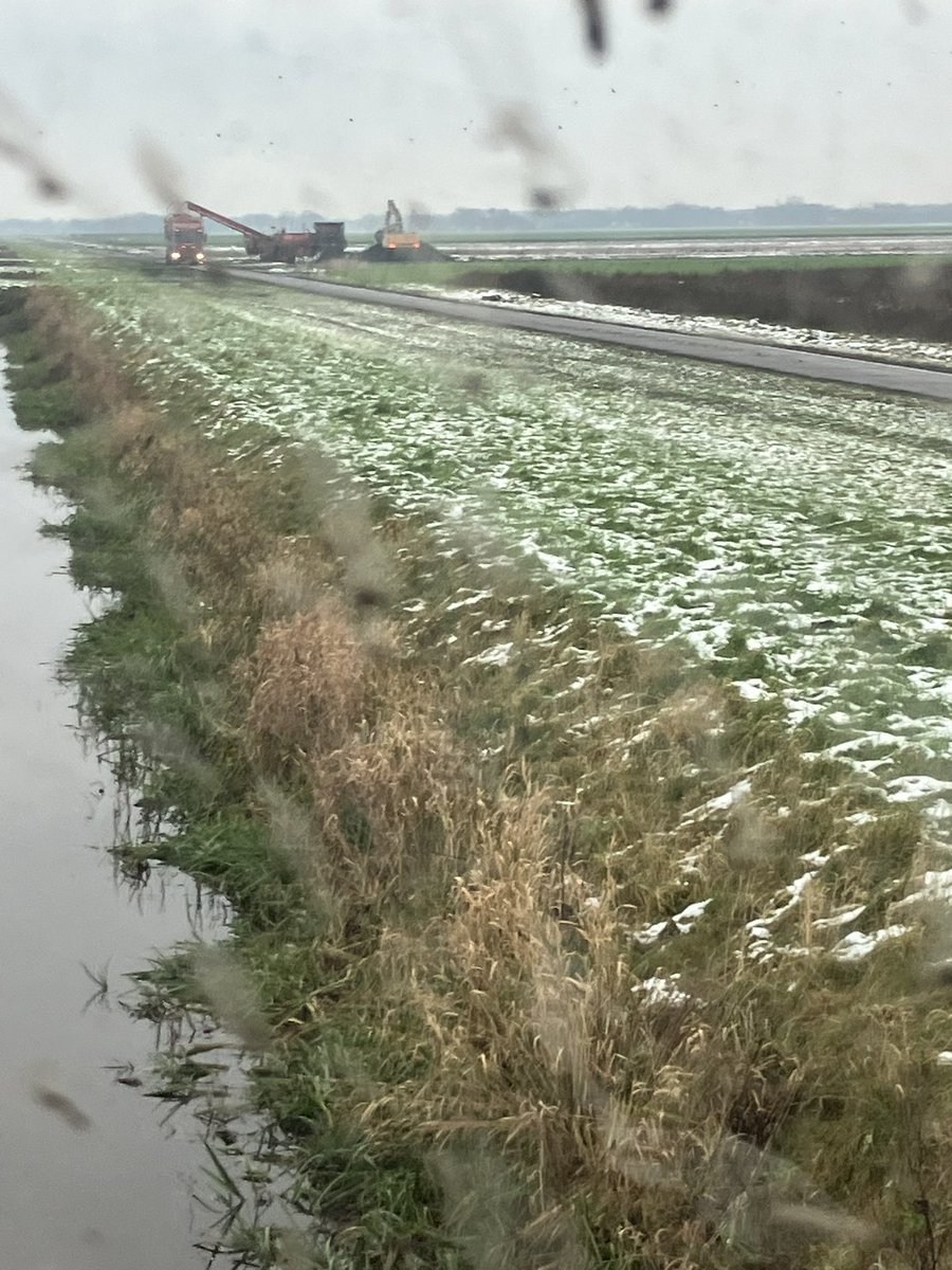 Als je dan nog aardappeltjes rooit onder slechte omstandigheden is het ook mooi dat de verlader meedenkt en ze snel ophaalt voor verwerking
# hhvdvelde
<a href="/Hgkiel46/">Harjo Kiel</a>
