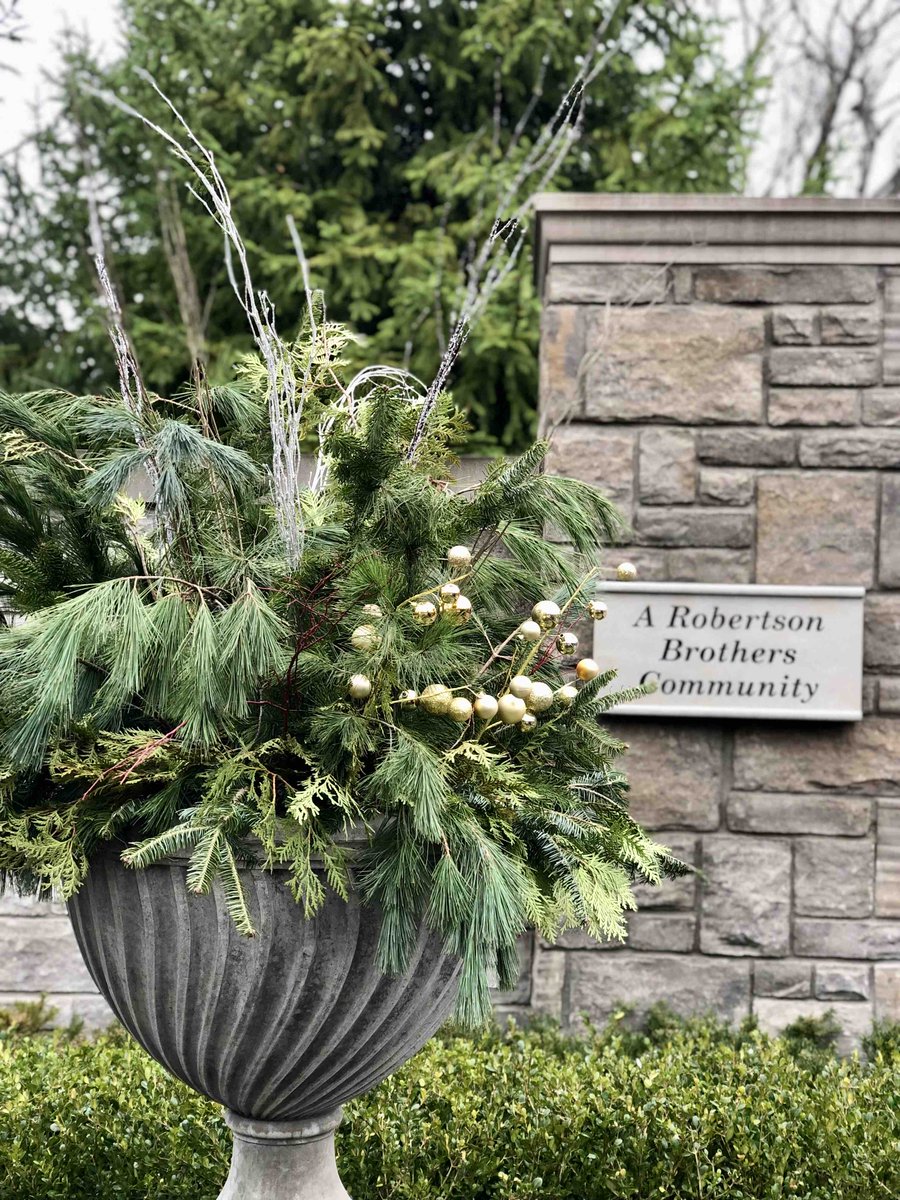 DAAlexanderCo's tweet image. Winter planters are magical ✨

#daalexander #planters #holiday #seasons #holidaydecor #ourdoorliving #entrance #newconstruction #holidayplanters #winter #livonia #northville #novi #plymouth #westbloomfield #annarbor #loveyourlandscape