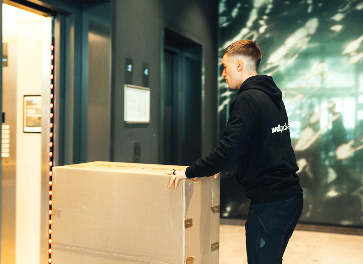 Discover the Benefits of Hiring a Professional Carrier Company
wellpack.org/services/all-t…

#furnituretransport #furnituremoving #furnituremovers #furnituredelivery #movingday #easymoving