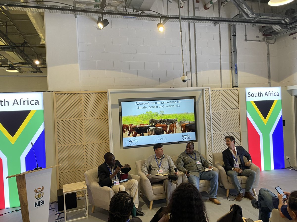 Important discussion on rewilding for climate, people and biodiversity outcomes. #wildlife #soilcarbon #grassyecosystems #diversity
