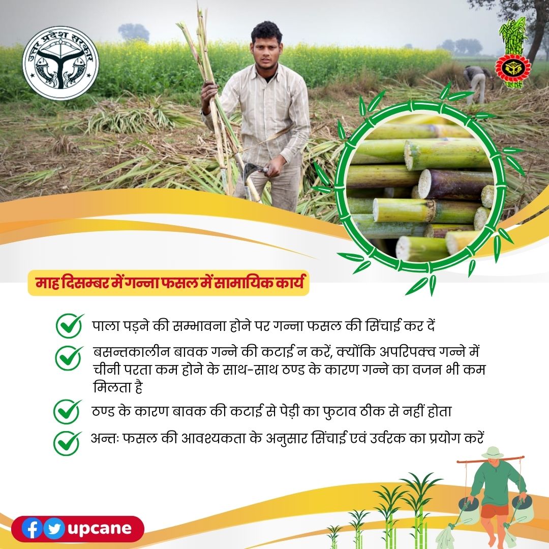 Cane Development UP tweet media